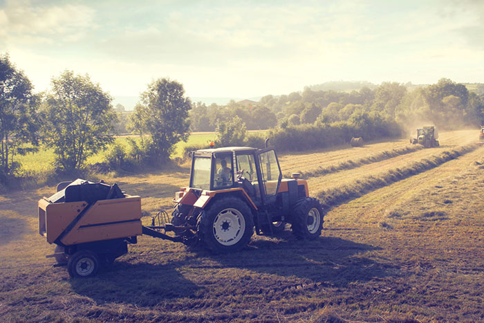 The Flip Side Whats a Broker Looking for?